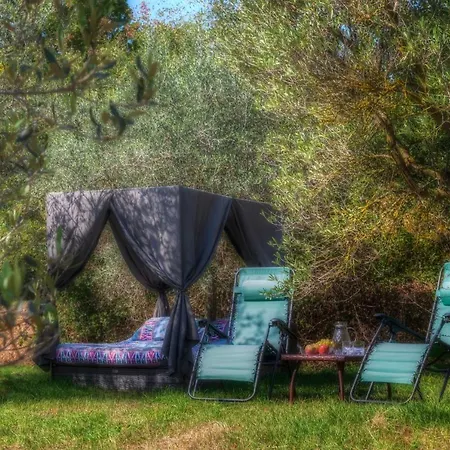 Apartment Spacious Apartment In Umbrian Farm House *