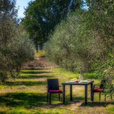 Spacious Apartment In Umbrian Farm House *